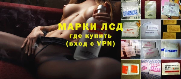 прущие грибы Алексин