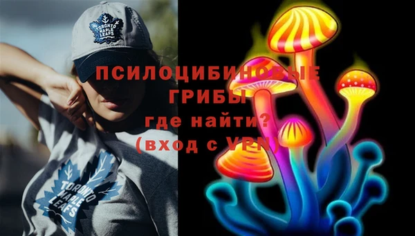 прущие грибы Алексин