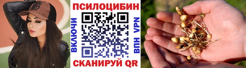 Псилоцибиновые грибы ЛСД  Миллерово 